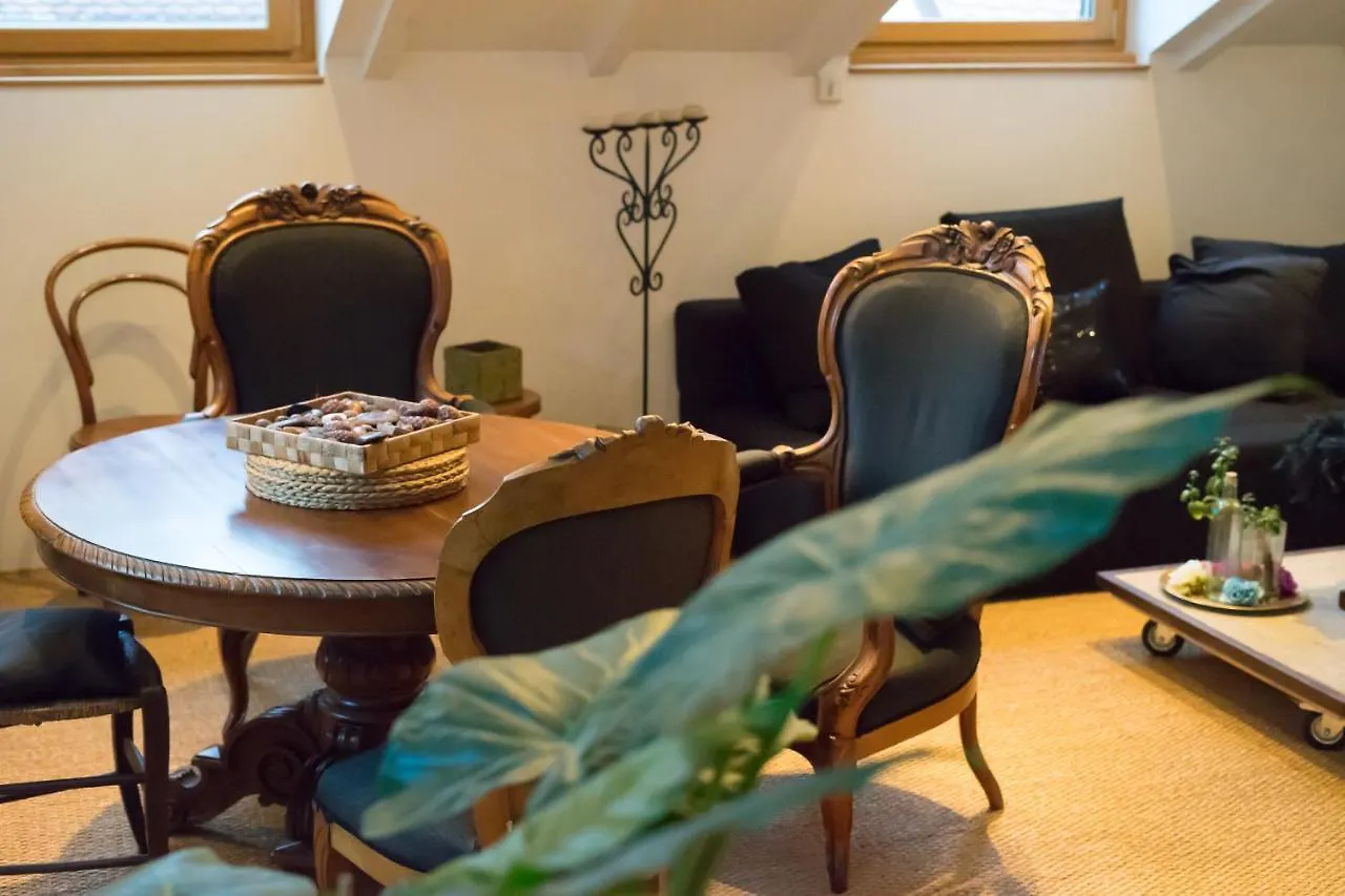 Appartements atypiques centre ville Annecy