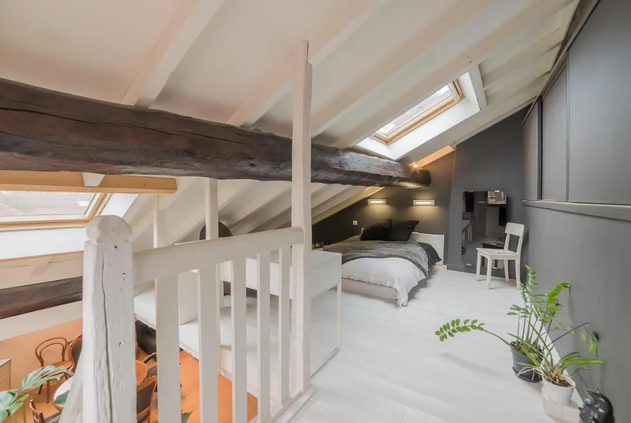 Appartements atypiques centre ville Annecy